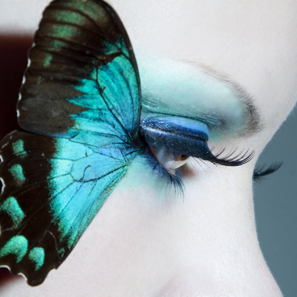 The Legend of the Blue Butterfly