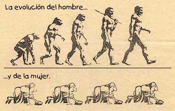 evolution of men and women
