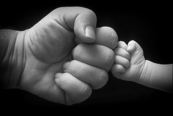 fists of a father and son