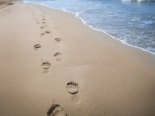 footprints of a person in the sand