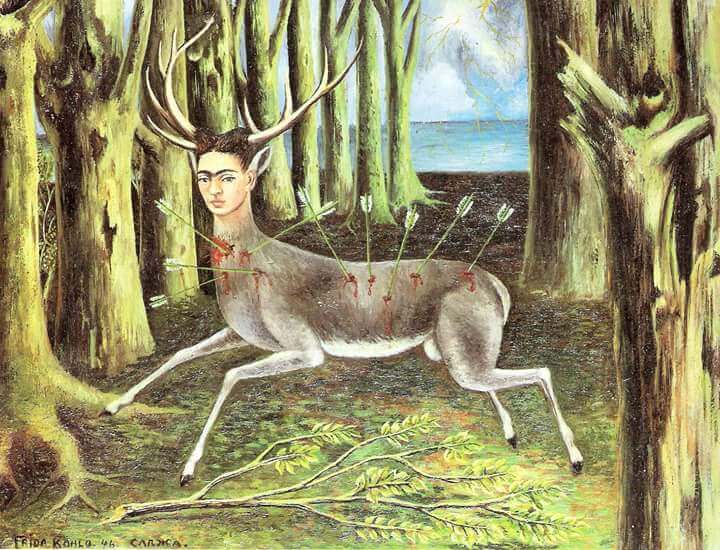 frida as a wounded deer