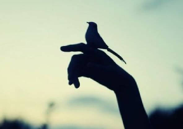 hand with a little bird