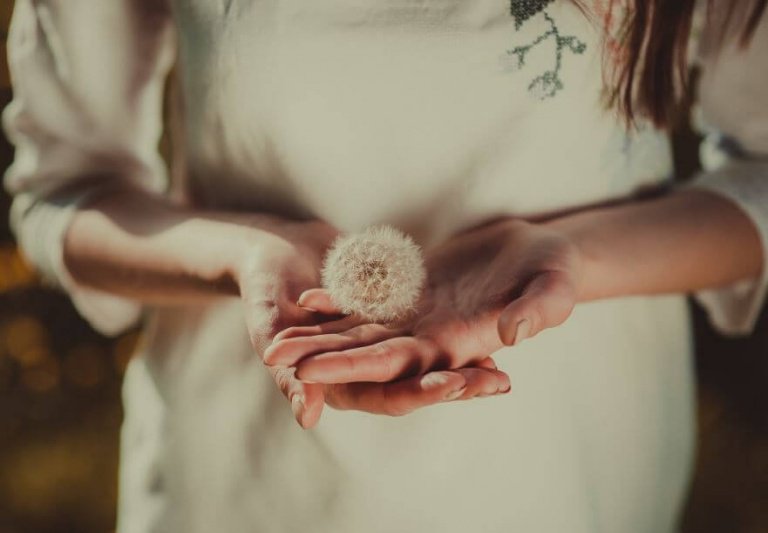 hands of a woman with a dandelion-768x533