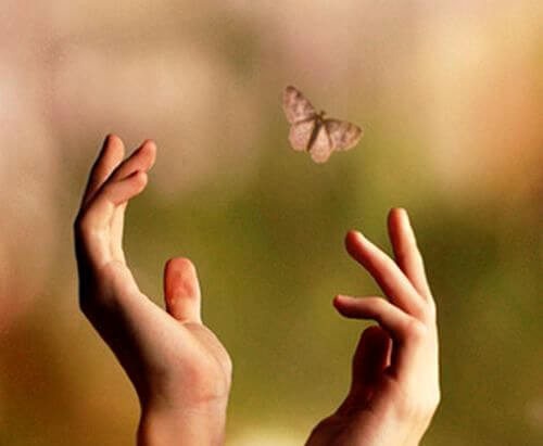 hands trying to reach a butterfly