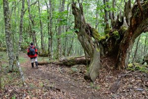 Do Coincidences Really Exist?