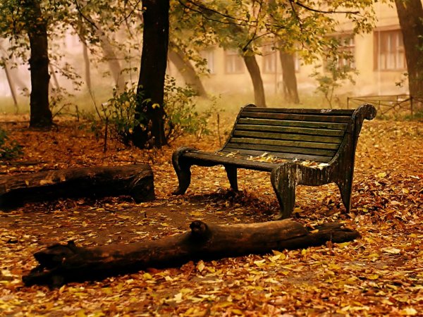 park bench