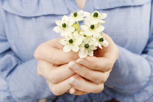 Hands Offering Flowers