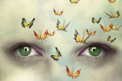 Eyes With Butterflies Around Them