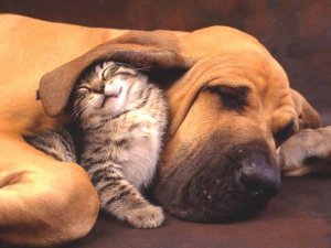 Doing Good Deeds Selfishly Is for the Cunning, Not the Good
