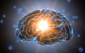 Cognitive Reserve Protects the Brain