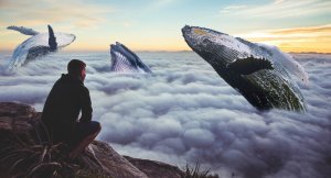 Accept Yourself Unconditionally