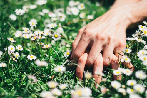 couple holding hands in grass
