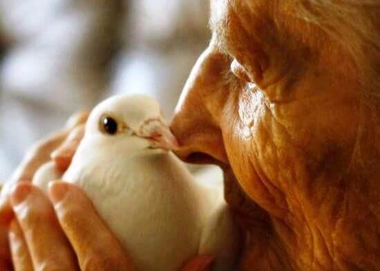elderly caregiver with pidgeon