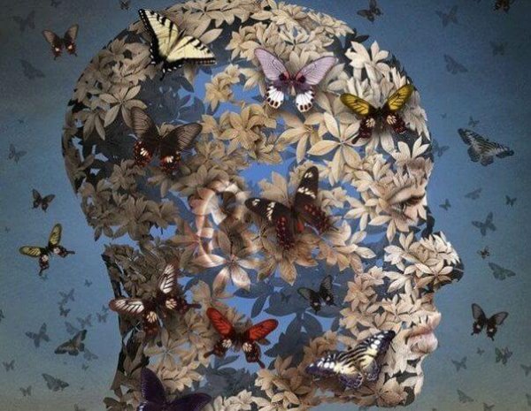 face made of butterflies