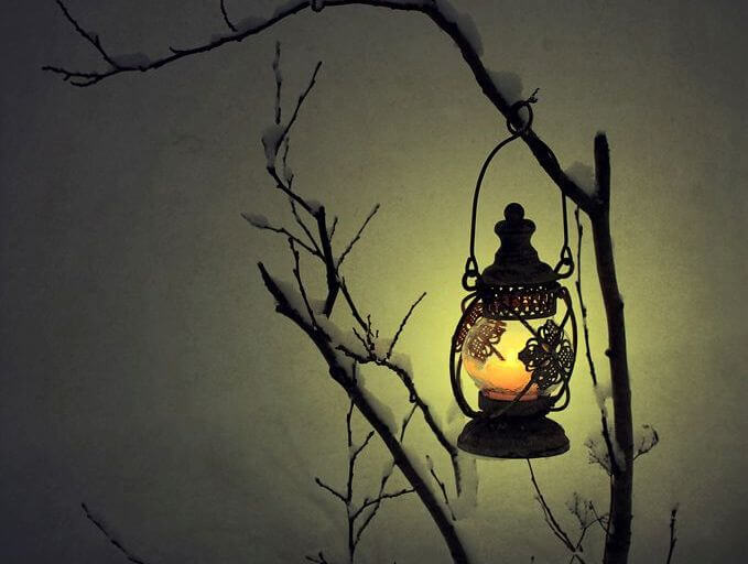 Lantern in Tree