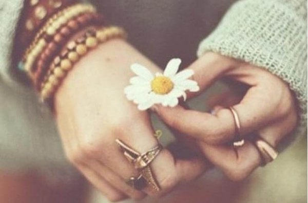 hands holding a flower