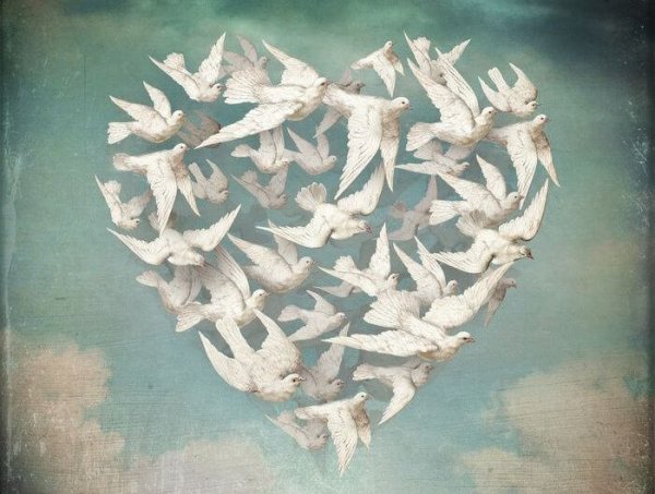 5 Myths About Forgivenes