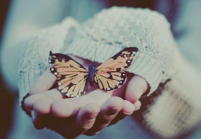 Butterfly in Hands