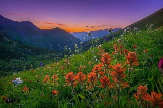 pretty landscape
