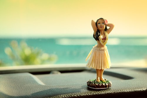 Hula Bobble in Car