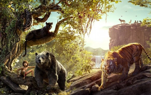 5 Lessons from The Jungle Book