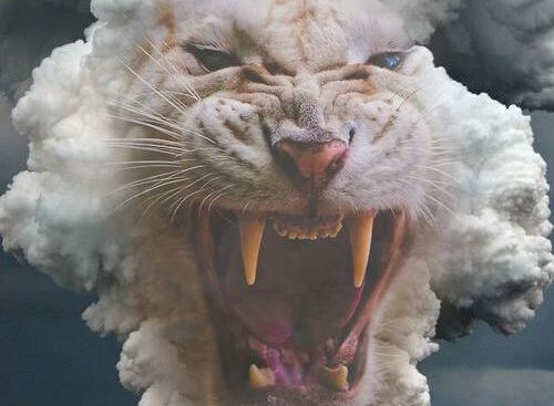 White Tiger Face