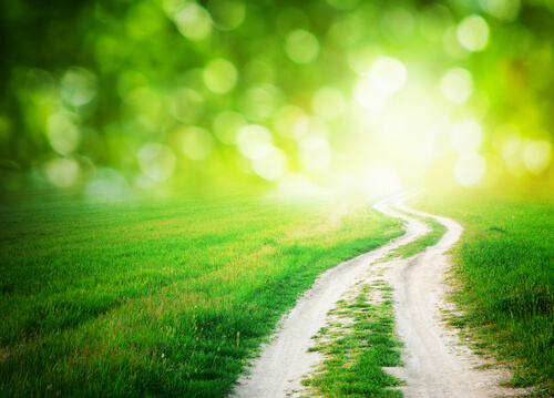 Green Pathway