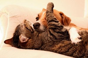 What to Do When You're Having a Hard Time Trusting People