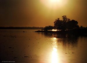 The Power of Imagination