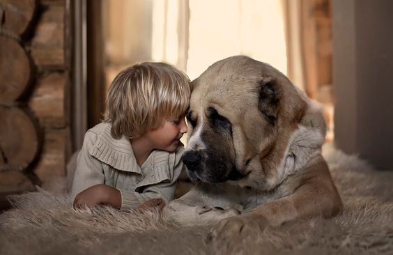boy and dog