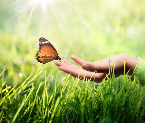 The Importance of Optimism in Dealing with Illnesses
