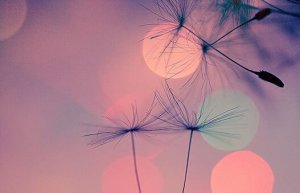 Finding Answers to Hard Moments Is Therapeutic