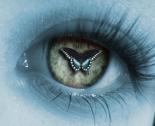 Have You Ever Experienced Serendipity?