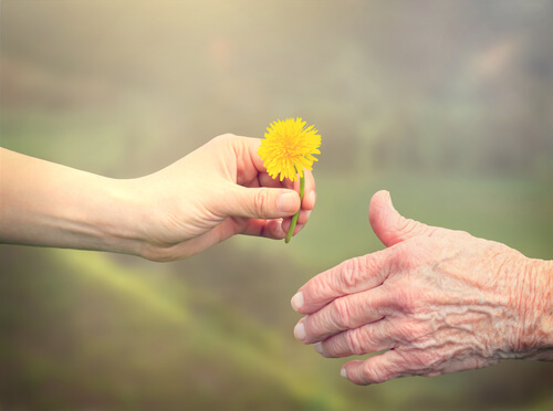 hand giving a flower to the other