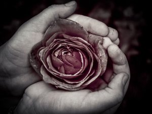 Perfection That Dwells in Imperfection