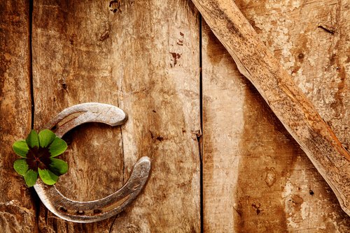 horseshoe with a green flower