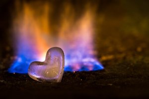 If the Fire Burned Out, Search for a New Flame
