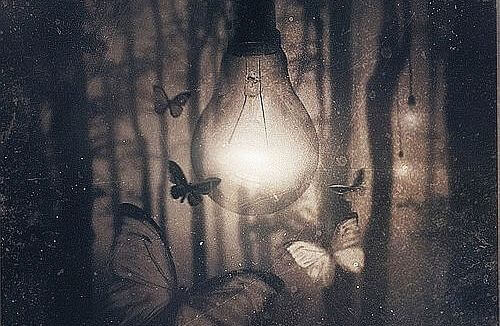 Butterflies Around Lightbulb