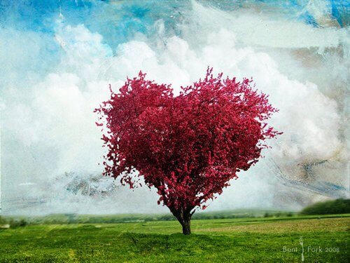 pink tree in the shape of a heart