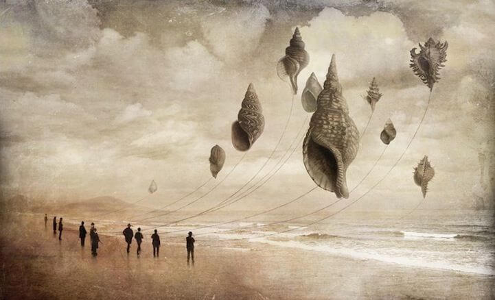 seashells-flying-like-kites