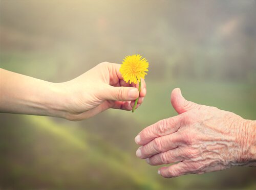 young-hand-giving-an-old-hand-a-flower