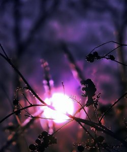 A Journey into Introspection