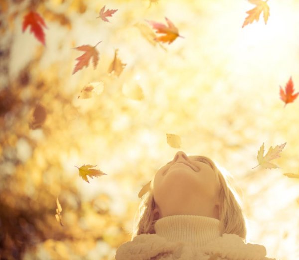 6 Strategies to Harness the Power of Your Mind