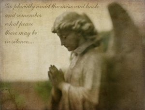 The Story of the Famous Desiderata Poem