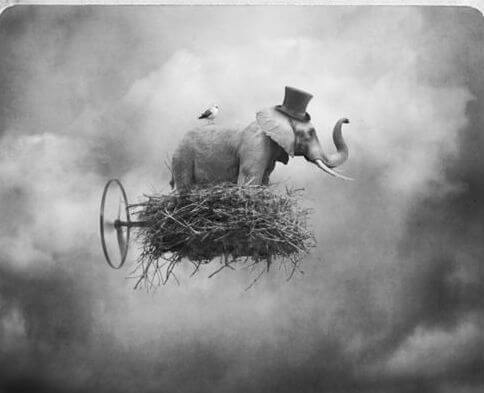 elephant cloud black white