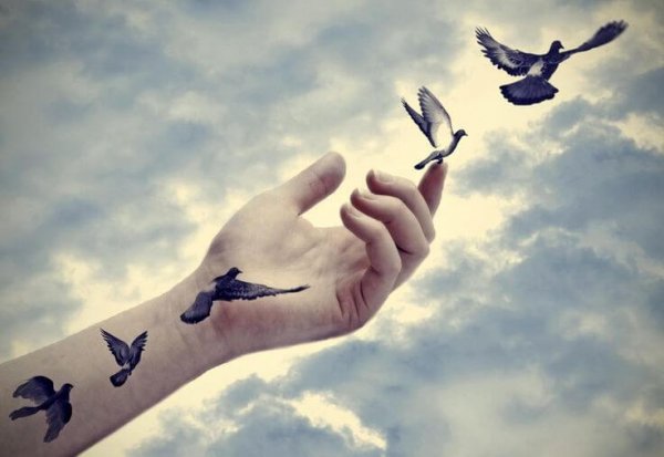 hand releasing birds