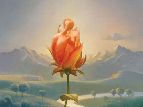 rose in the mountains