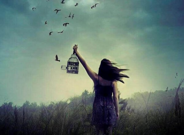setting birds free