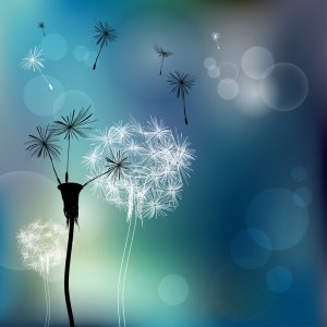 How to Free Yourself from Toxic People