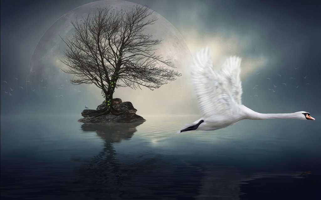 swan-flying-over-lagoon